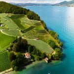 Vignes de Spiez Poster XL